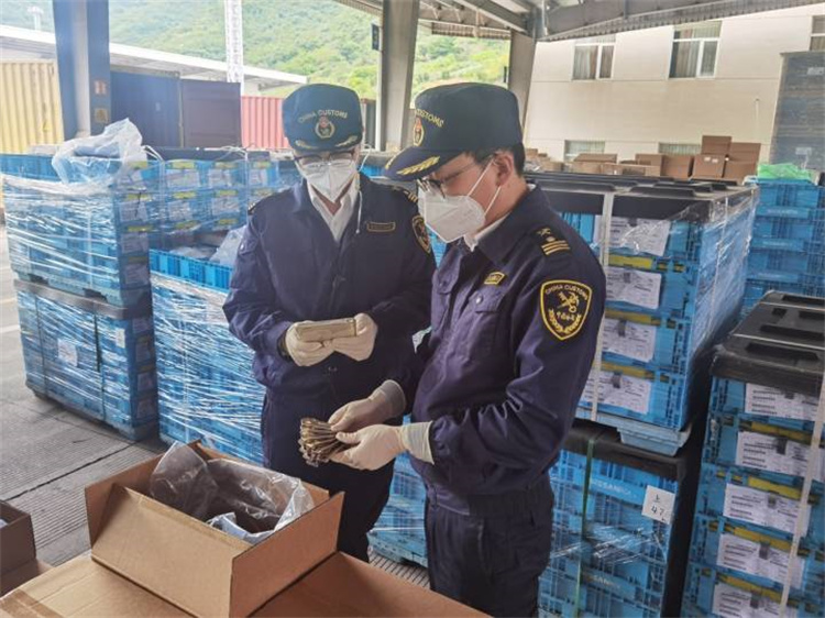 Promover el comercio exterior para garantizar la estabilidad y mejorar la calidad La Aduana de Ningbo emitió 20 medidas 