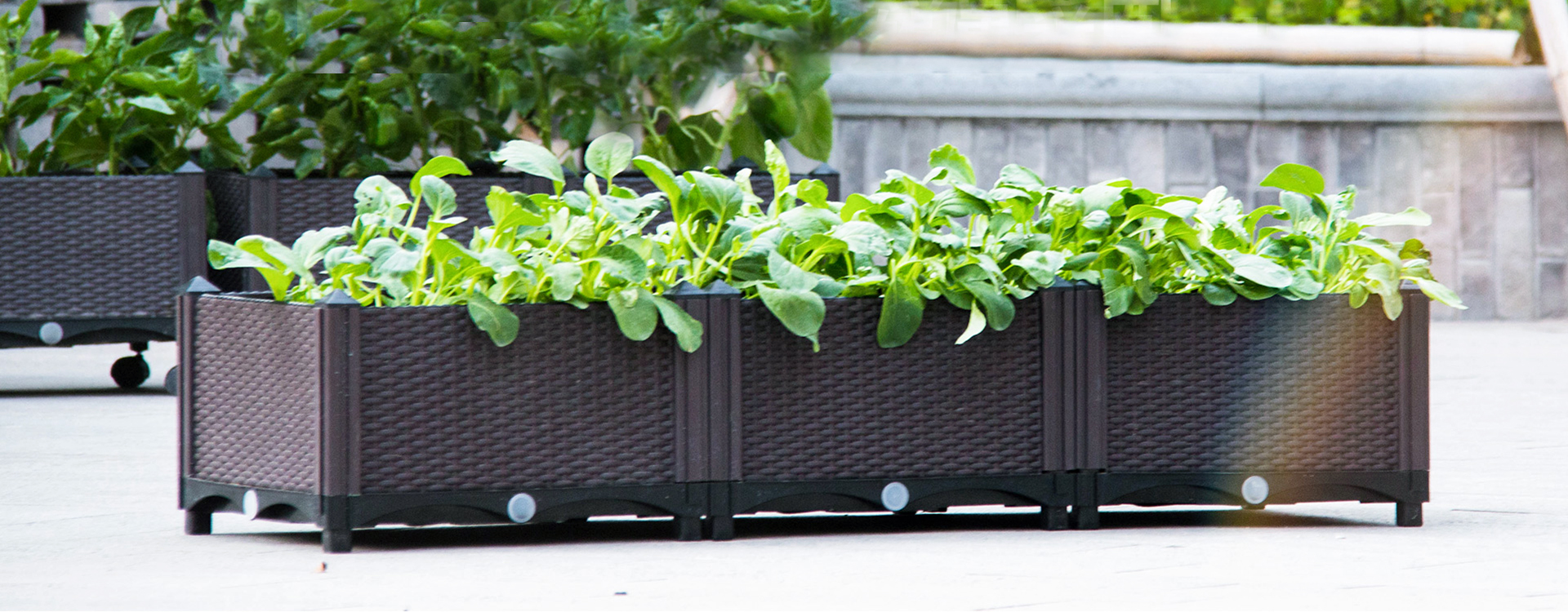 Suministros de jardinería