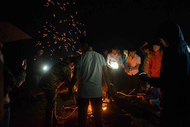 Fuego en la naturaleza Necesidad de dominar el sentido común y los puntos clave