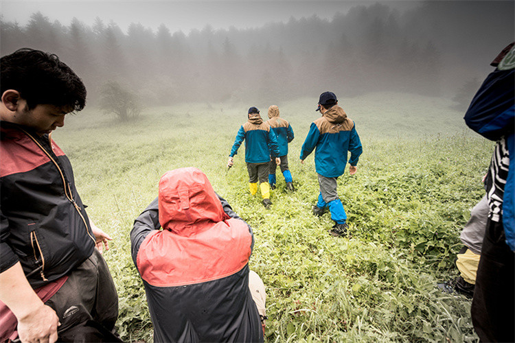 ¿Qué es SURVIVA Wilderness Survival?
